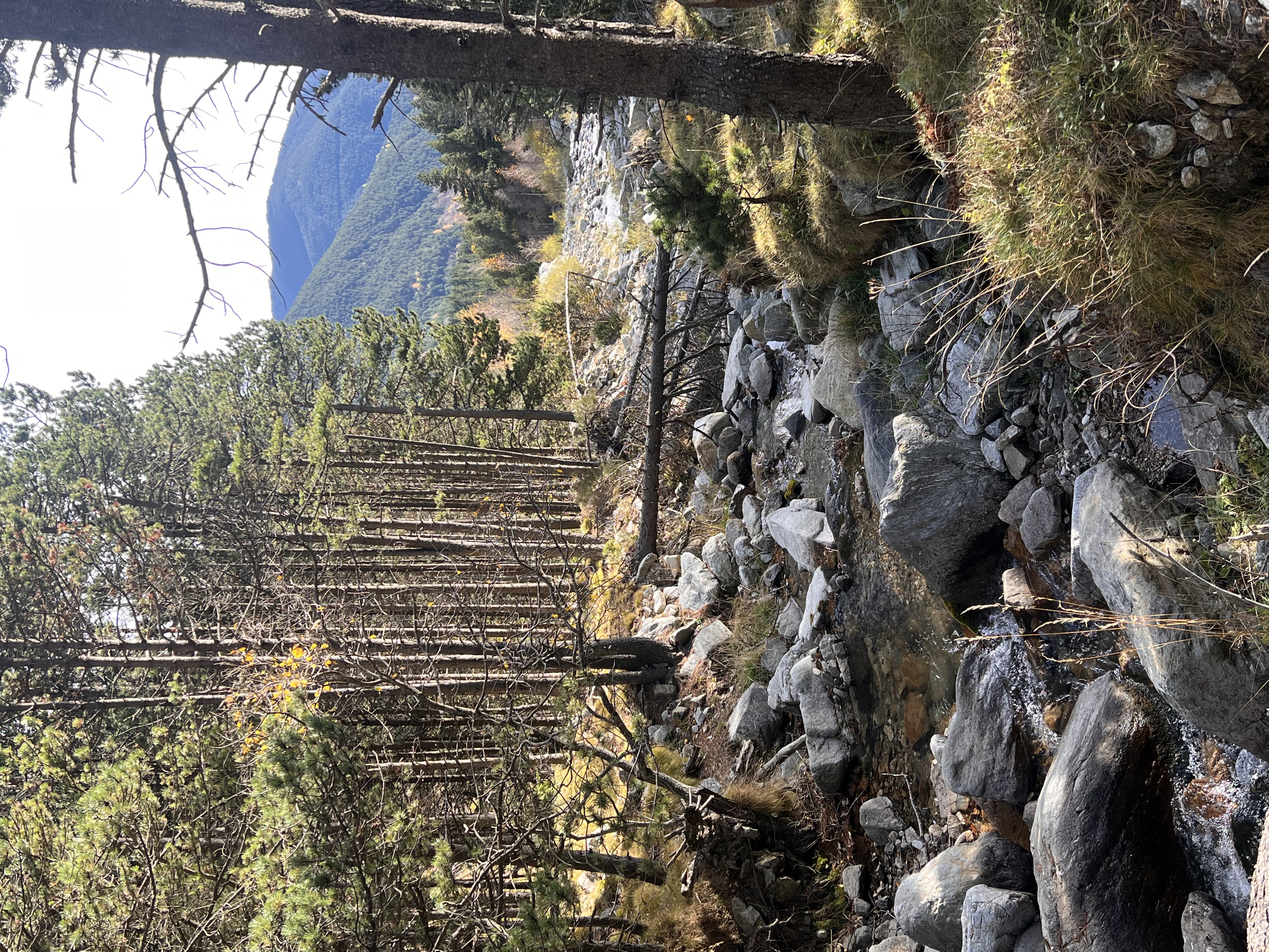 Excursion group activity